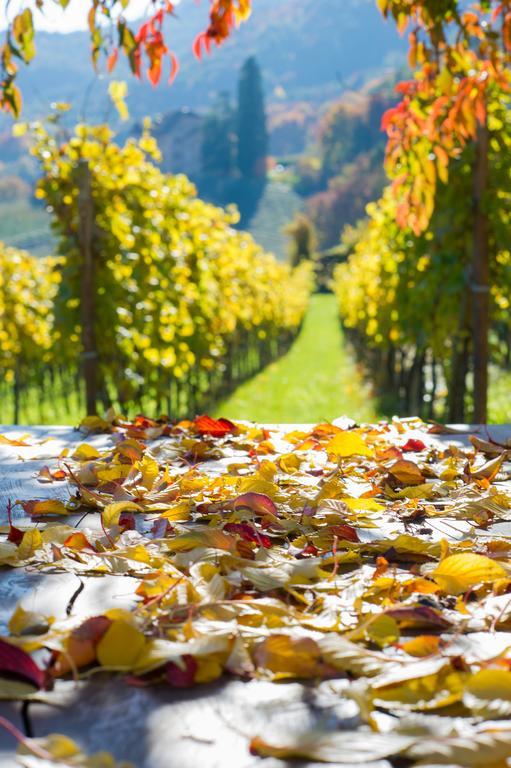 Weingut Wolkanhof Appiano Sulla Strada Del Vino Dış mekan fotoğraf