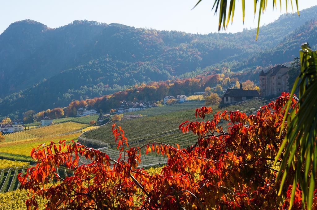 Weingut Wolkanhof Appiano Sulla Strada Del Vino Dış mekan fotoğraf
