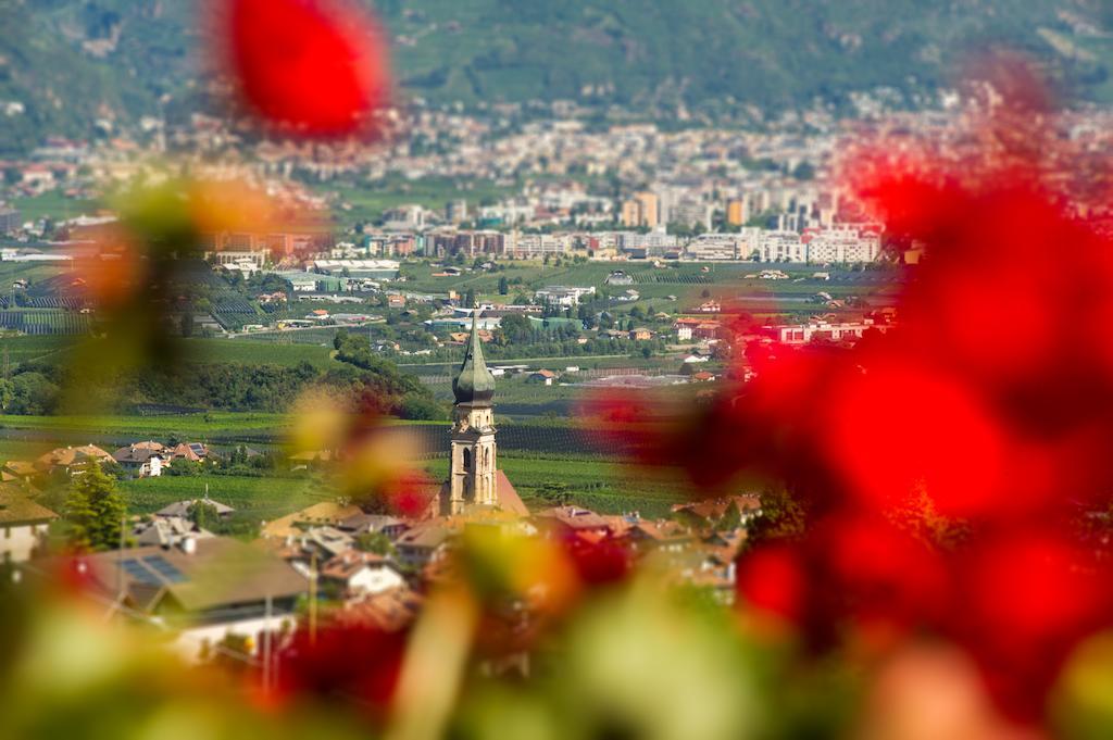 Weingut Wolkanhof Appiano Sulla Strada Del Vino Dış mekan fotoğraf