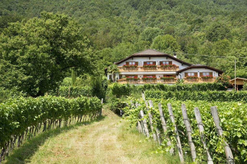 Weingut Wolkanhof Appiano Sulla Strada Del Vino Dış mekan fotoğraf