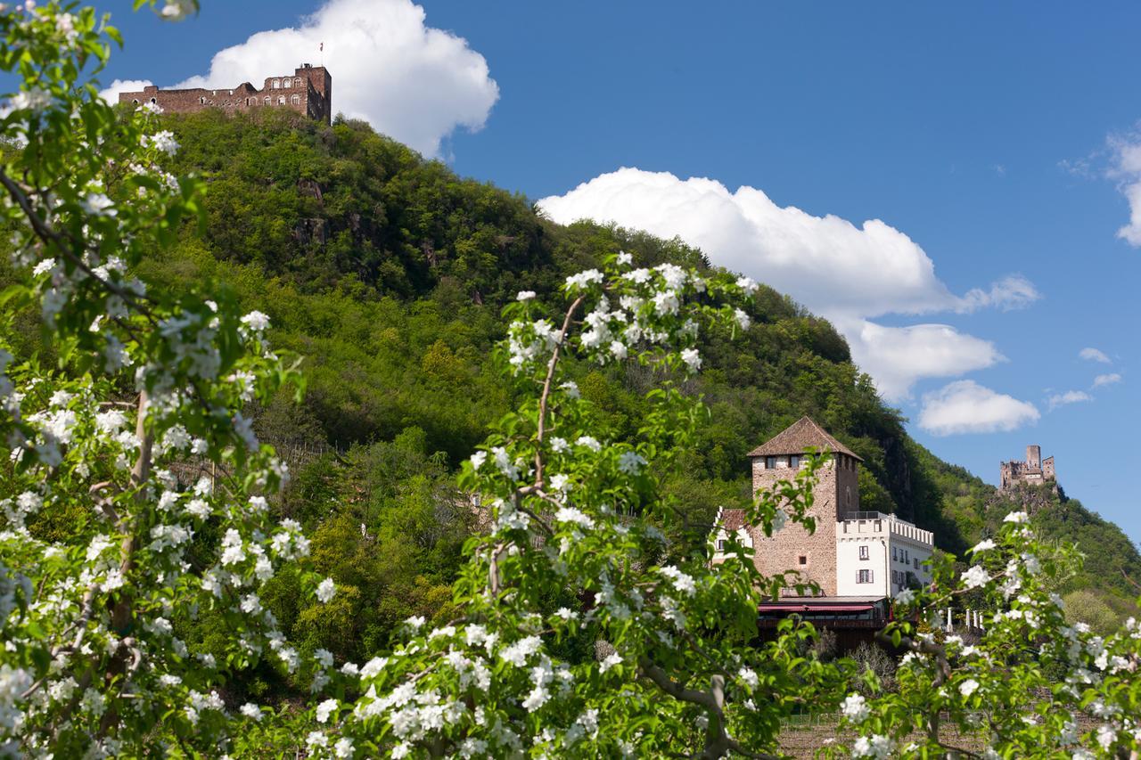 Weingut Wolkanhof Appiano Sulla Strada Del Vino Dış mekan fotoğraf